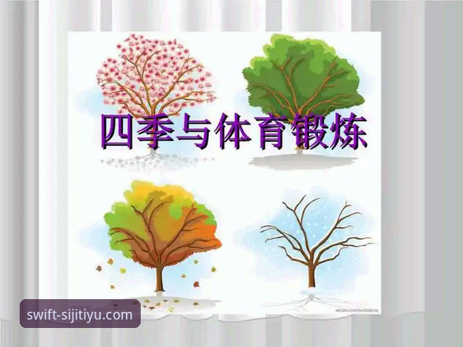 四季体育平台安装方法对比详解